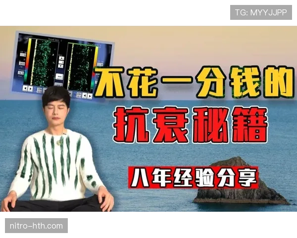 进攻重置规则在什么情况下会触发？篮球新手必看